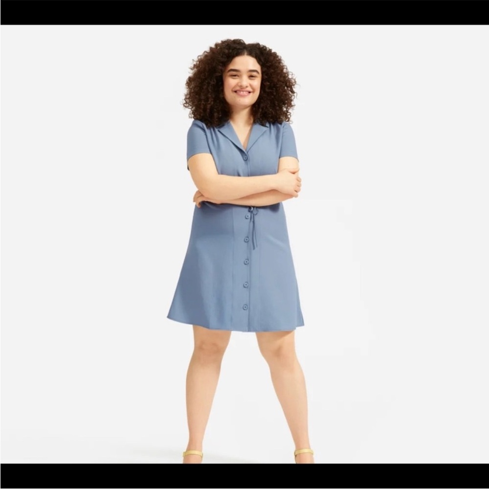 Everlane | Japanese GoWeave Notch Shirtdress